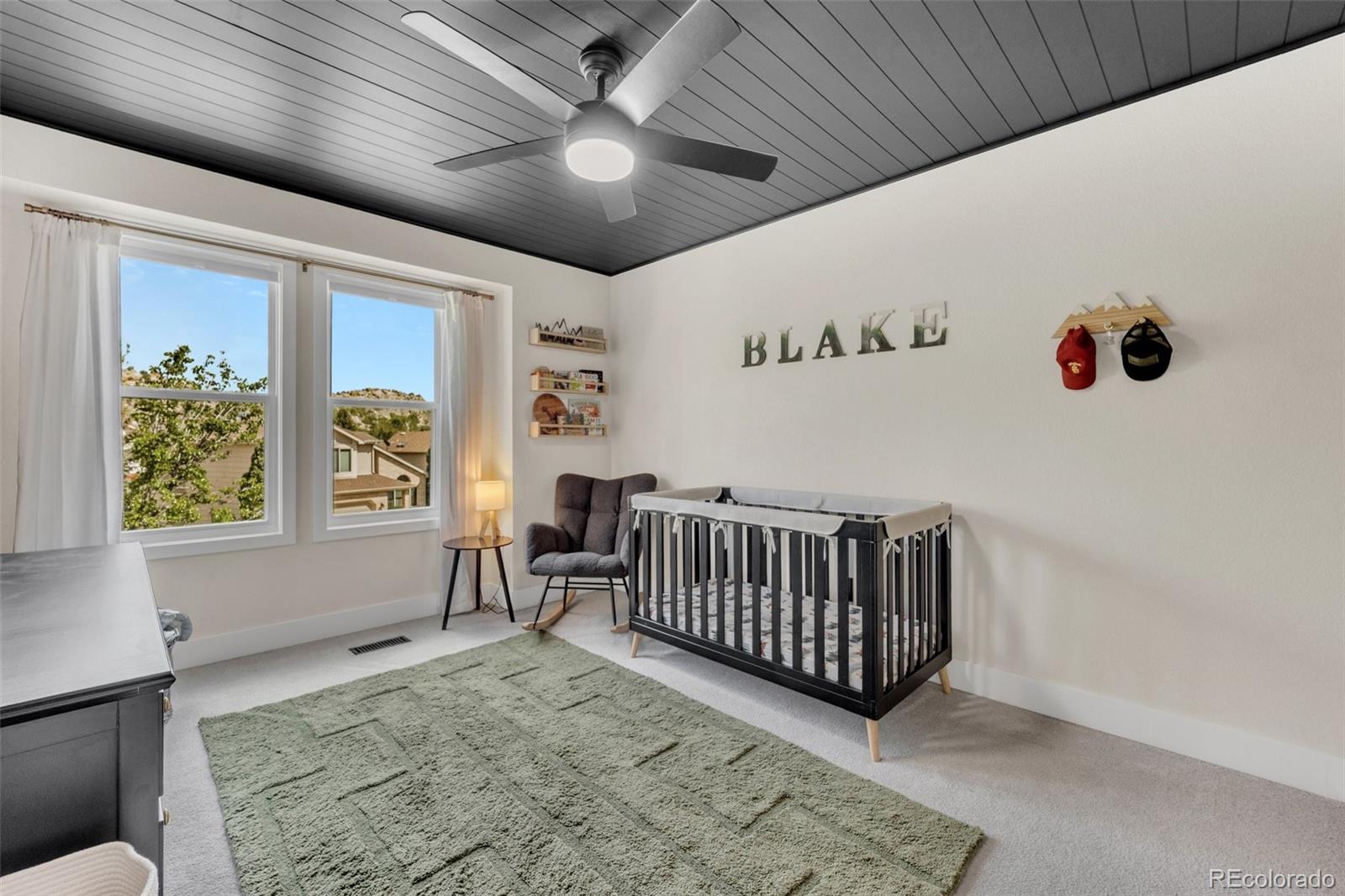 MLS Image #22 for 6390  moccasin pass court,colorado springs, Colorado