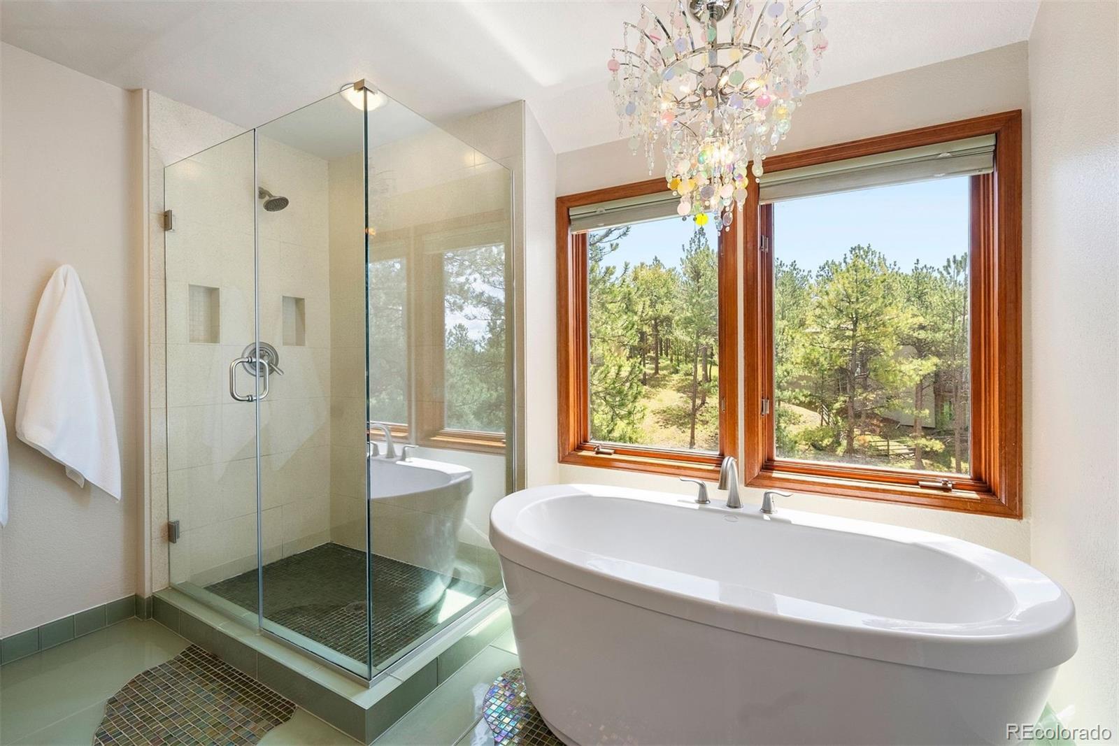 MLS Image #26 for 2122  cramner court,evergreen, Colorado
