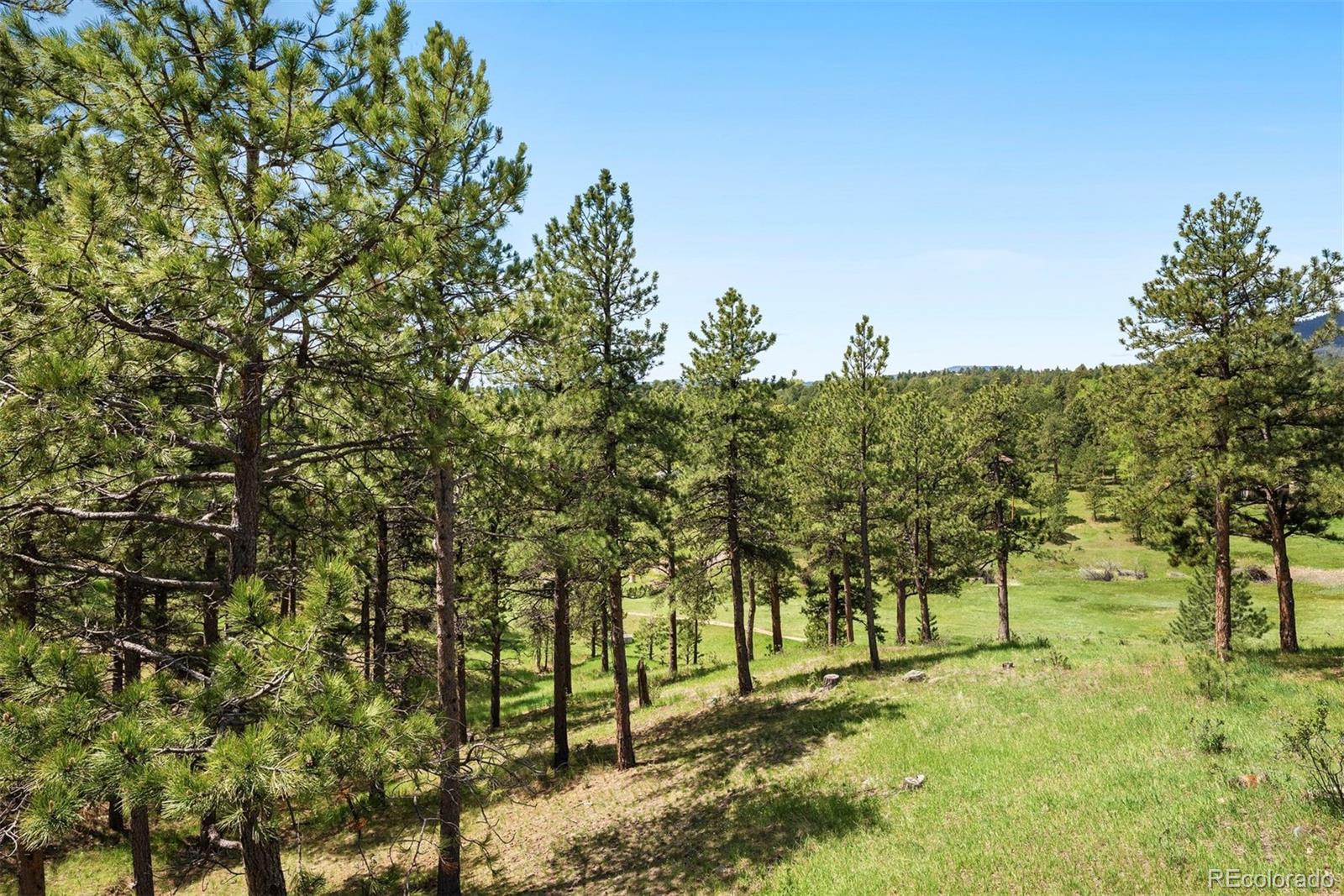 MLS Image #3 for 2122  cramner court,evergreen, Colorado
