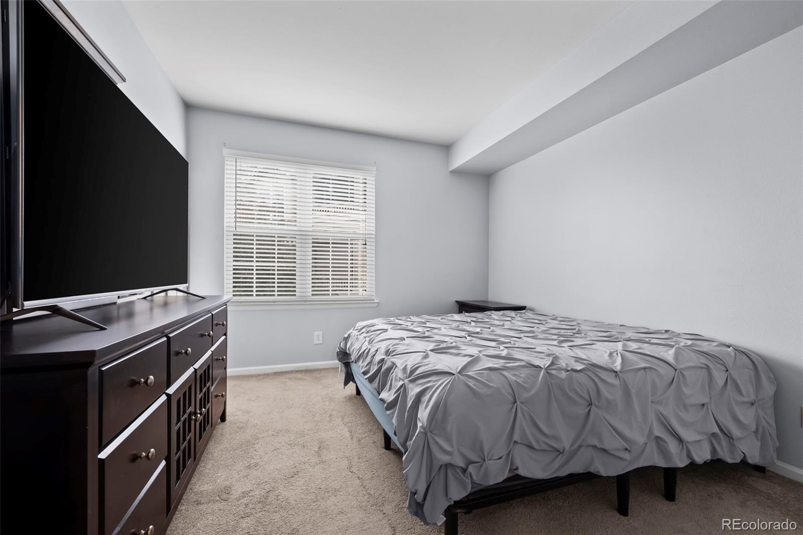 MLS Image #9 for 12816  ironstone way,parker, Colorado