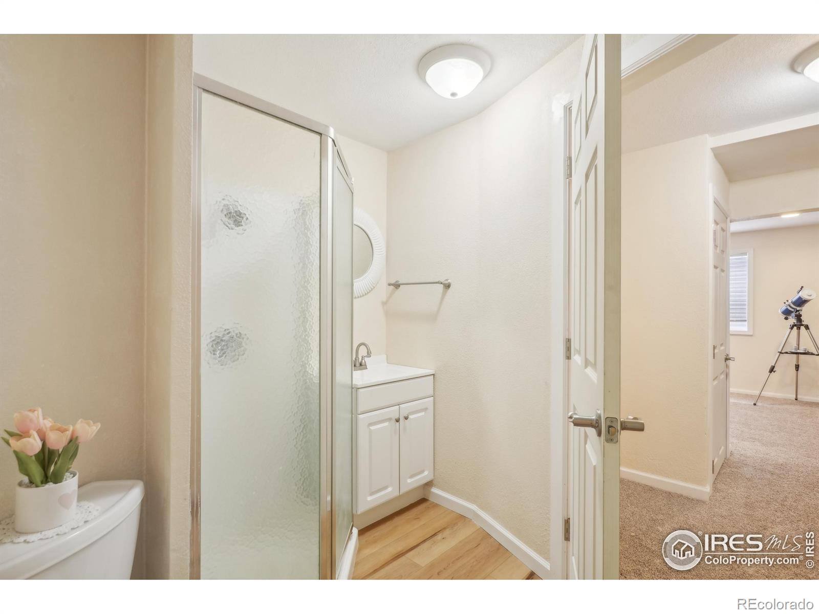 MLS Image #29 for 4913  smallwood court,fort collins, Colorado