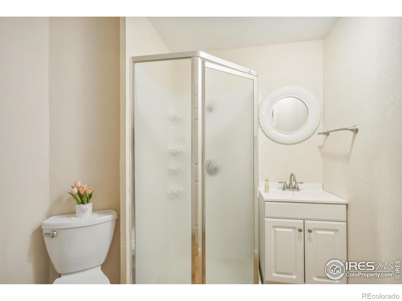 MLS Image #30 for 4913  smallwood court,fort collins, Colorado
