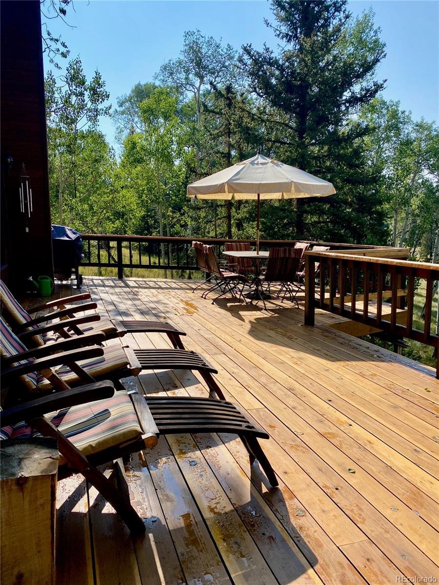 MLS Image #0 for 771  spruce road,cimarron, Colorado
