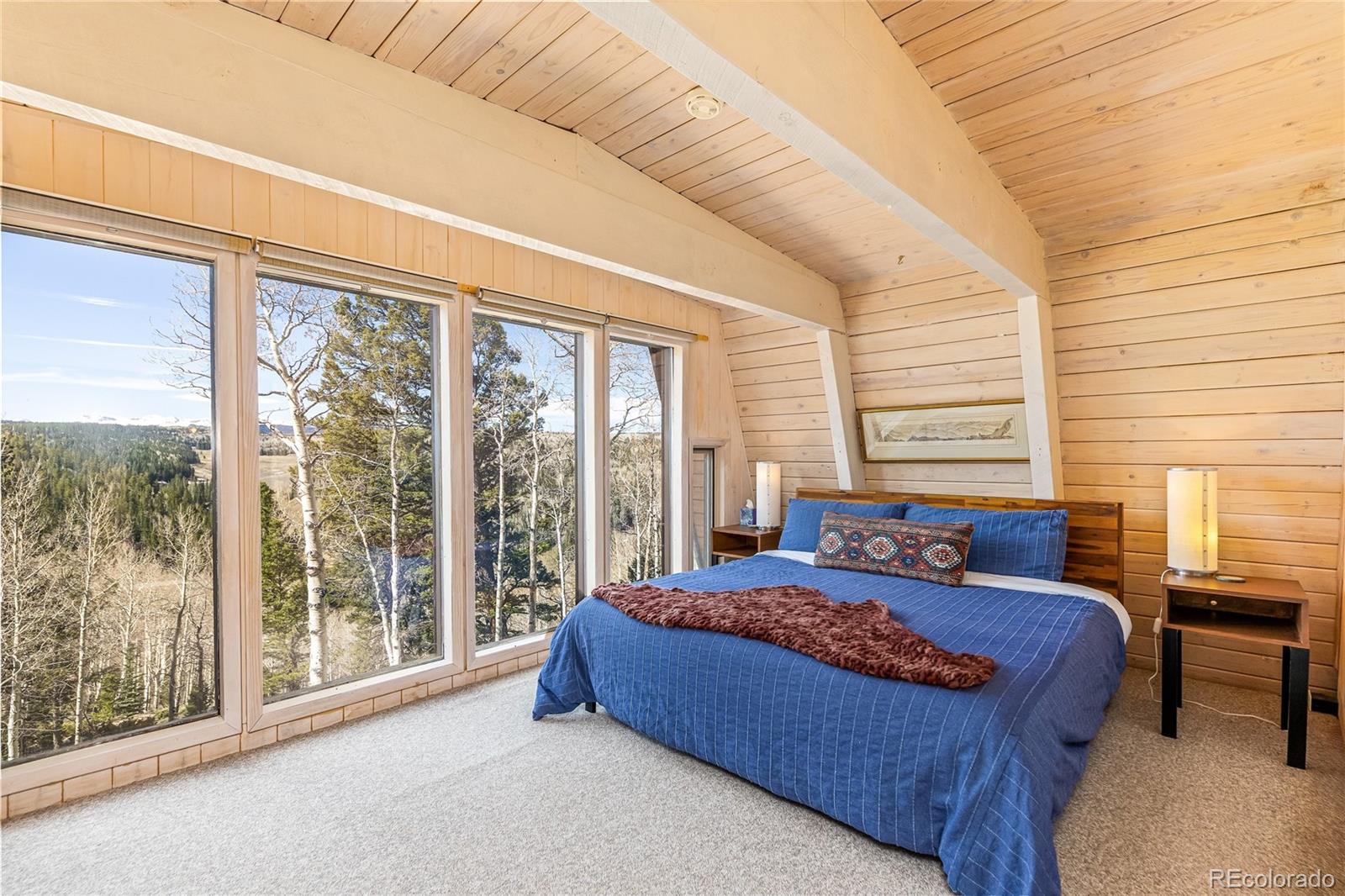 MLS Image #16 for 771  spruce road,cimarron, Colorado