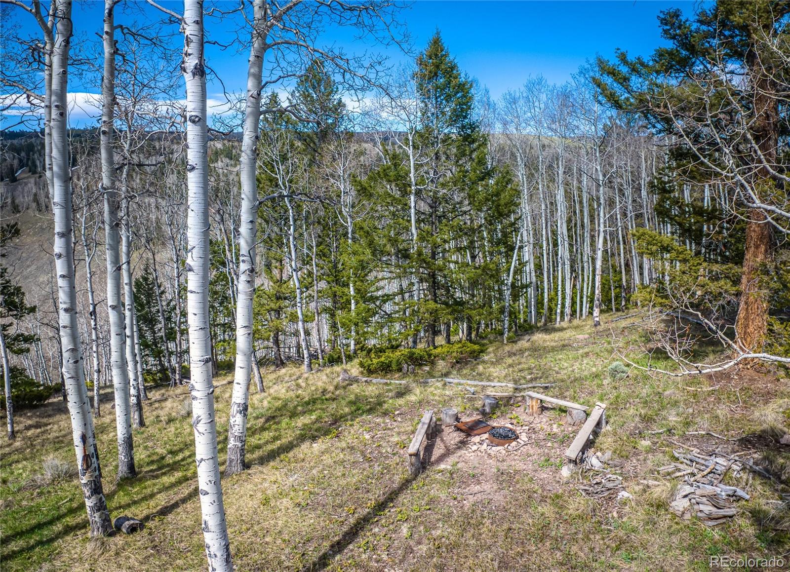MLS Image #22 for 771  spruce road,cimarron, Colorado