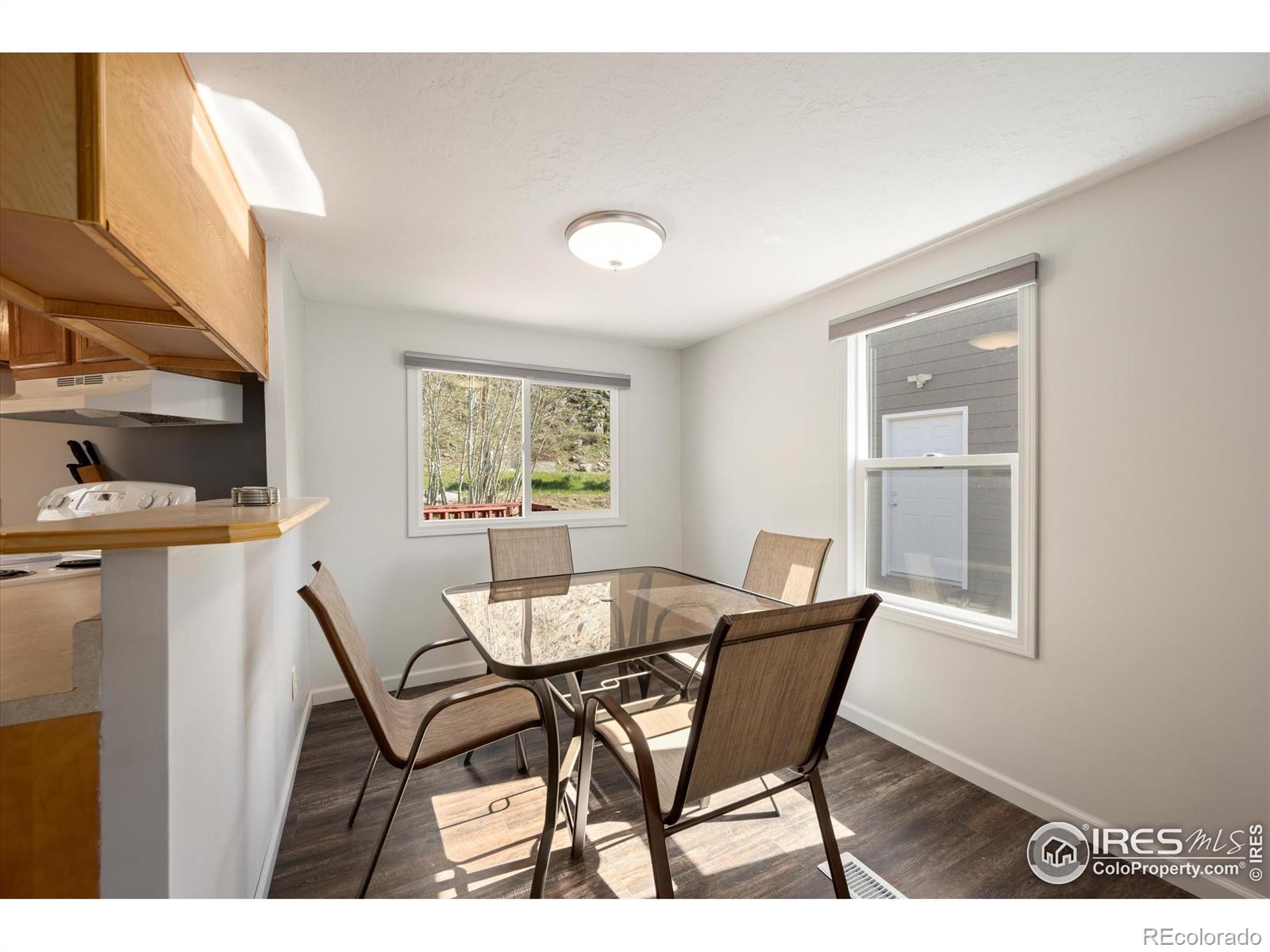 MLS Image #6 for 50  meadow lane,bellvue, Colorado