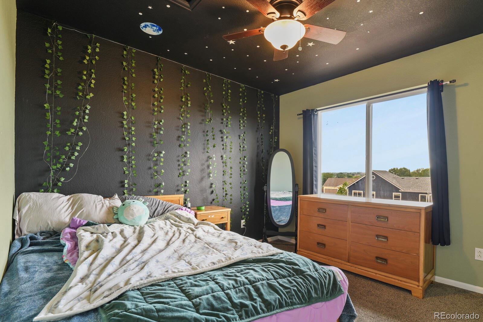MLS Image #18 for 7534  sistine lane,fountain, Colorado