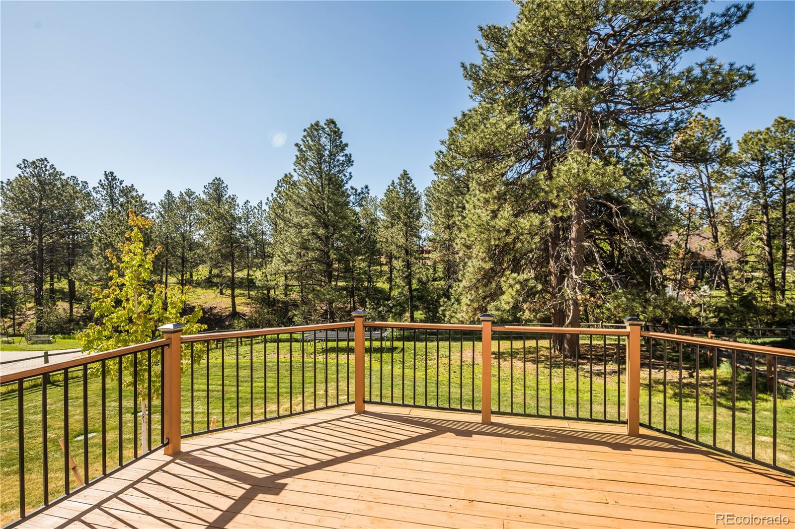 MLS Image #19 for 1288  gambel oaks drive,elizabeth, Colorado