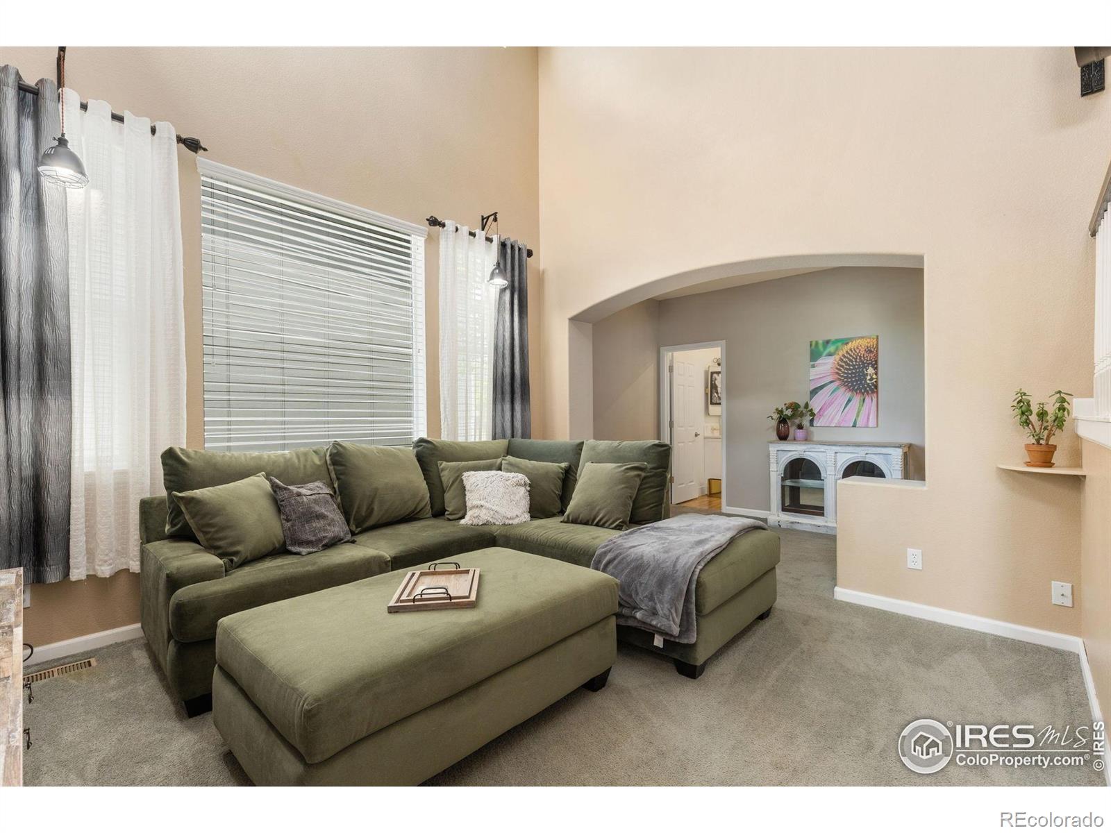 MLS Image #10 for 10278  dover street,firestone, Colorado