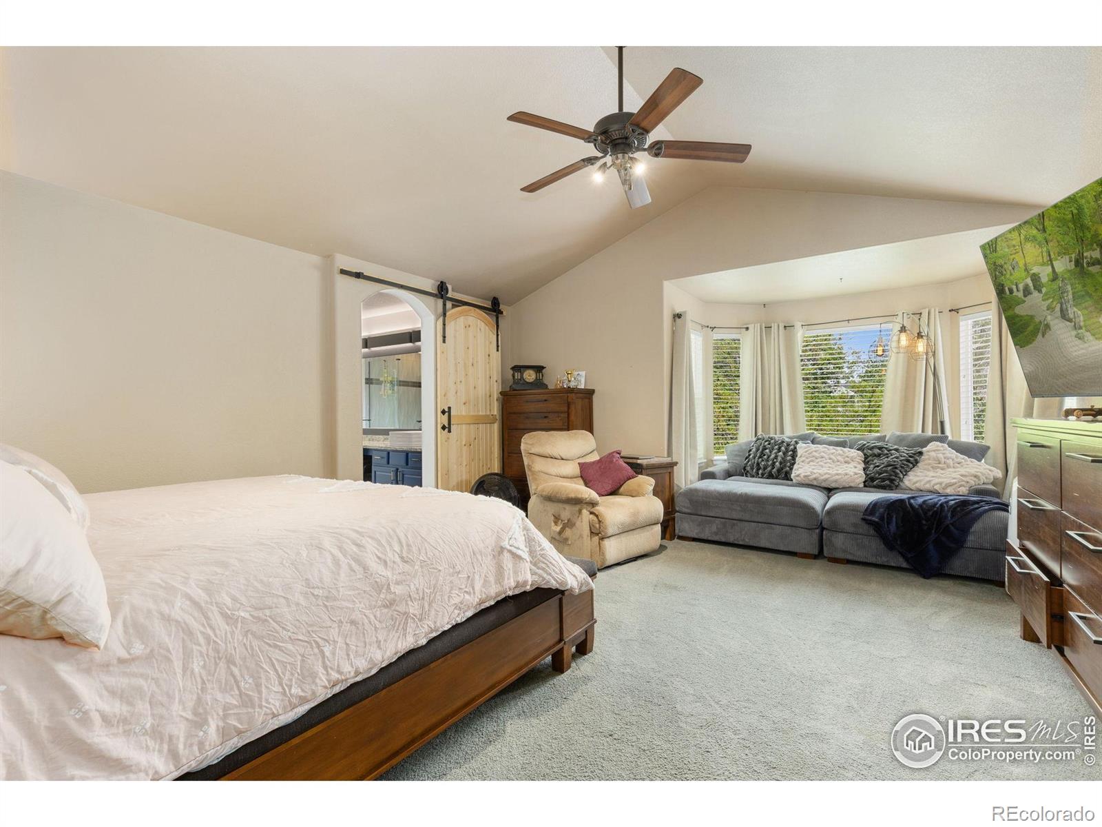 MLS Image #14 for 10278  dover street,firestone, Colorado