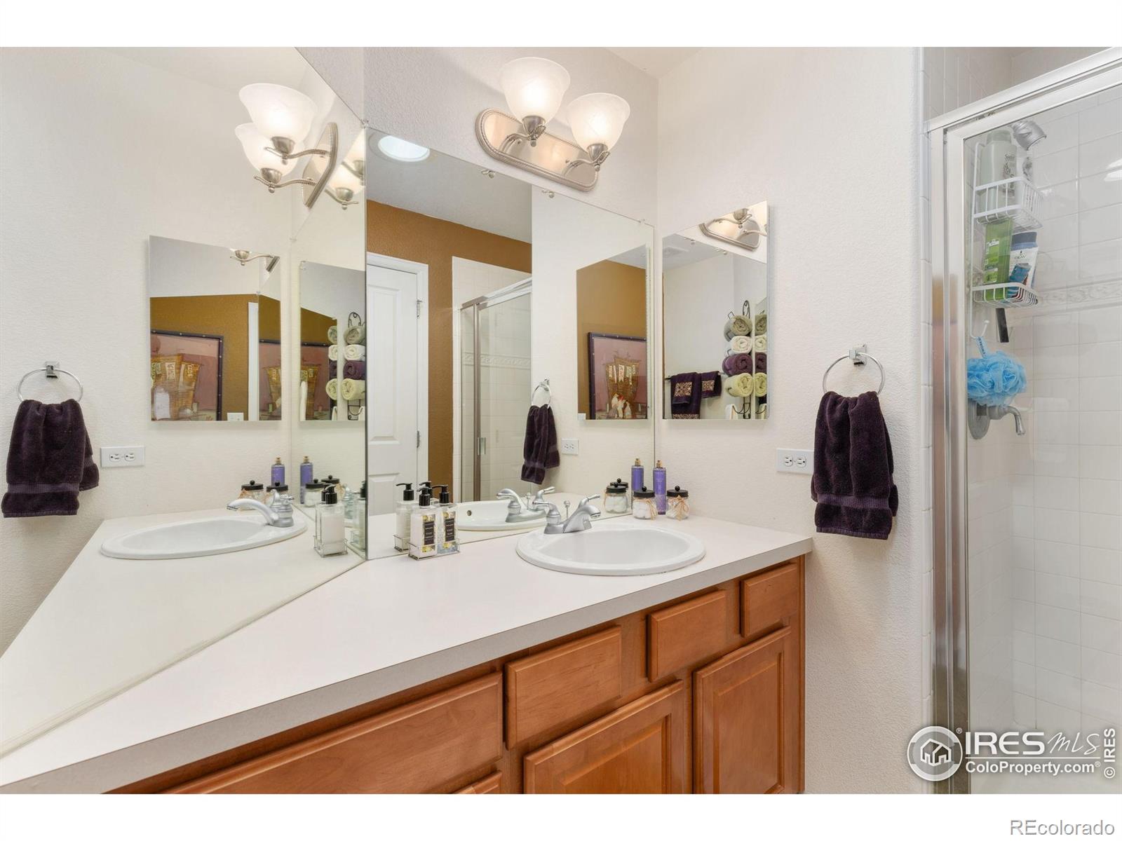 MLS Image #22 for 10278  dover street,firestone, Colorado