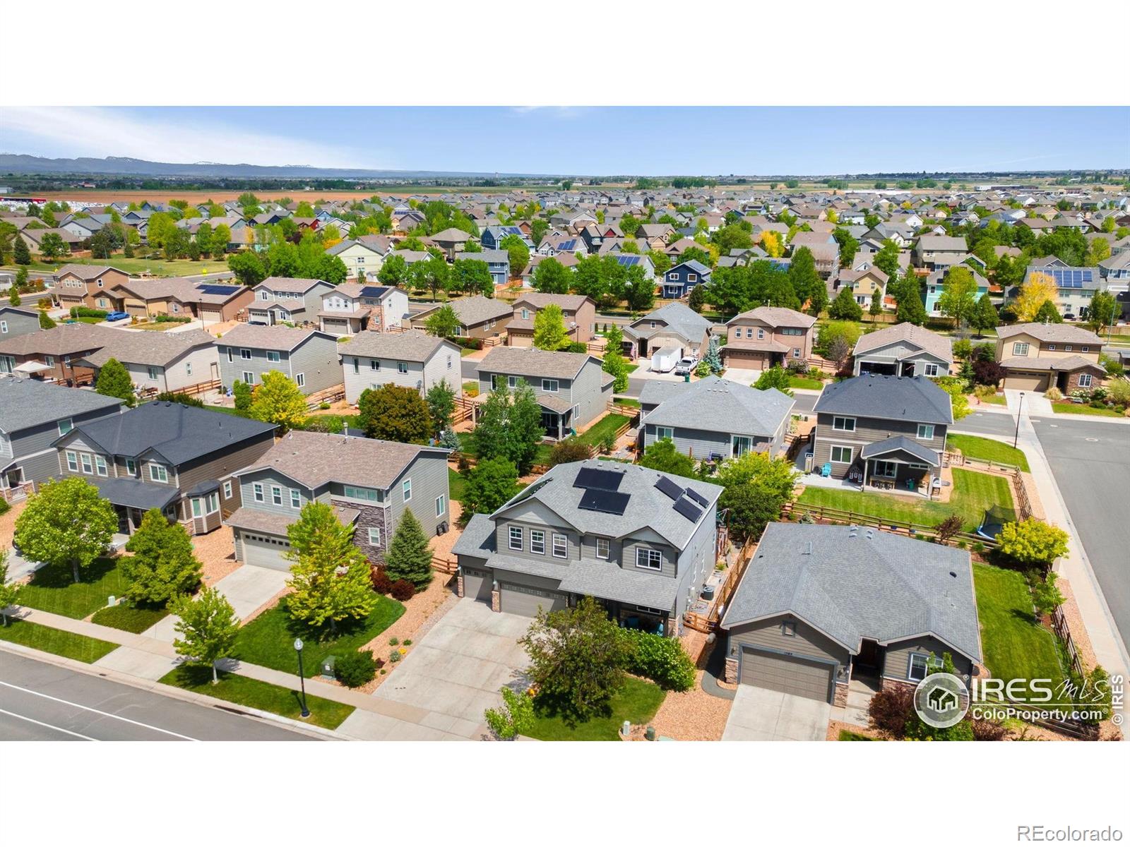 MLS Image #1 for 1568  grand avenue,windsor, Colorado