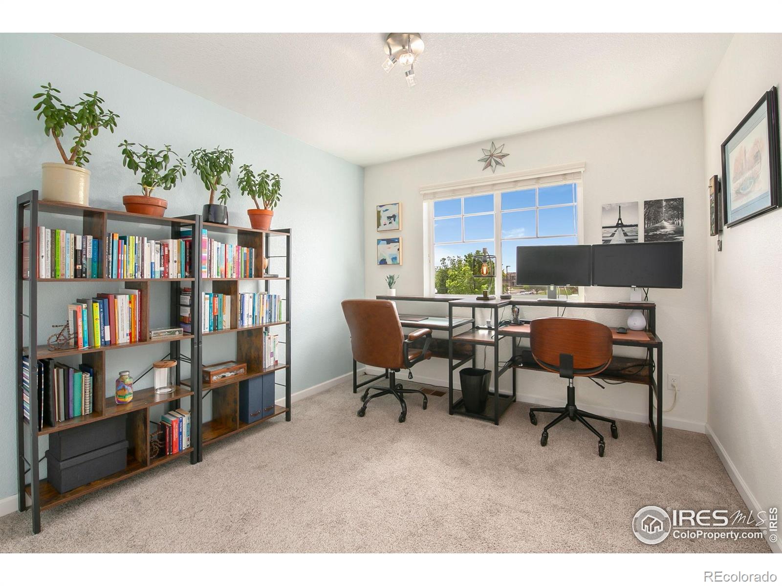 MLS Image #22 for 1568  grand avenue,windsor, Colorado