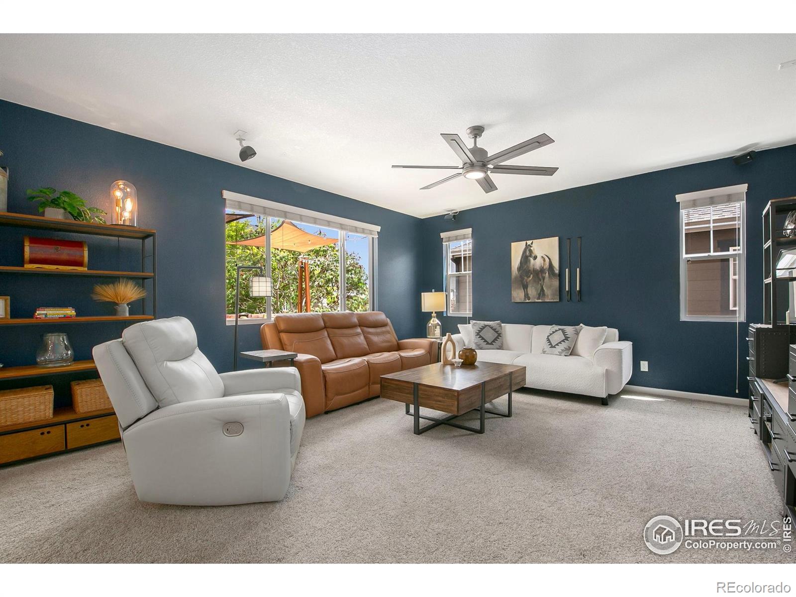 MLS Image #6 for 1568  grand avenue,windsor, Colorado