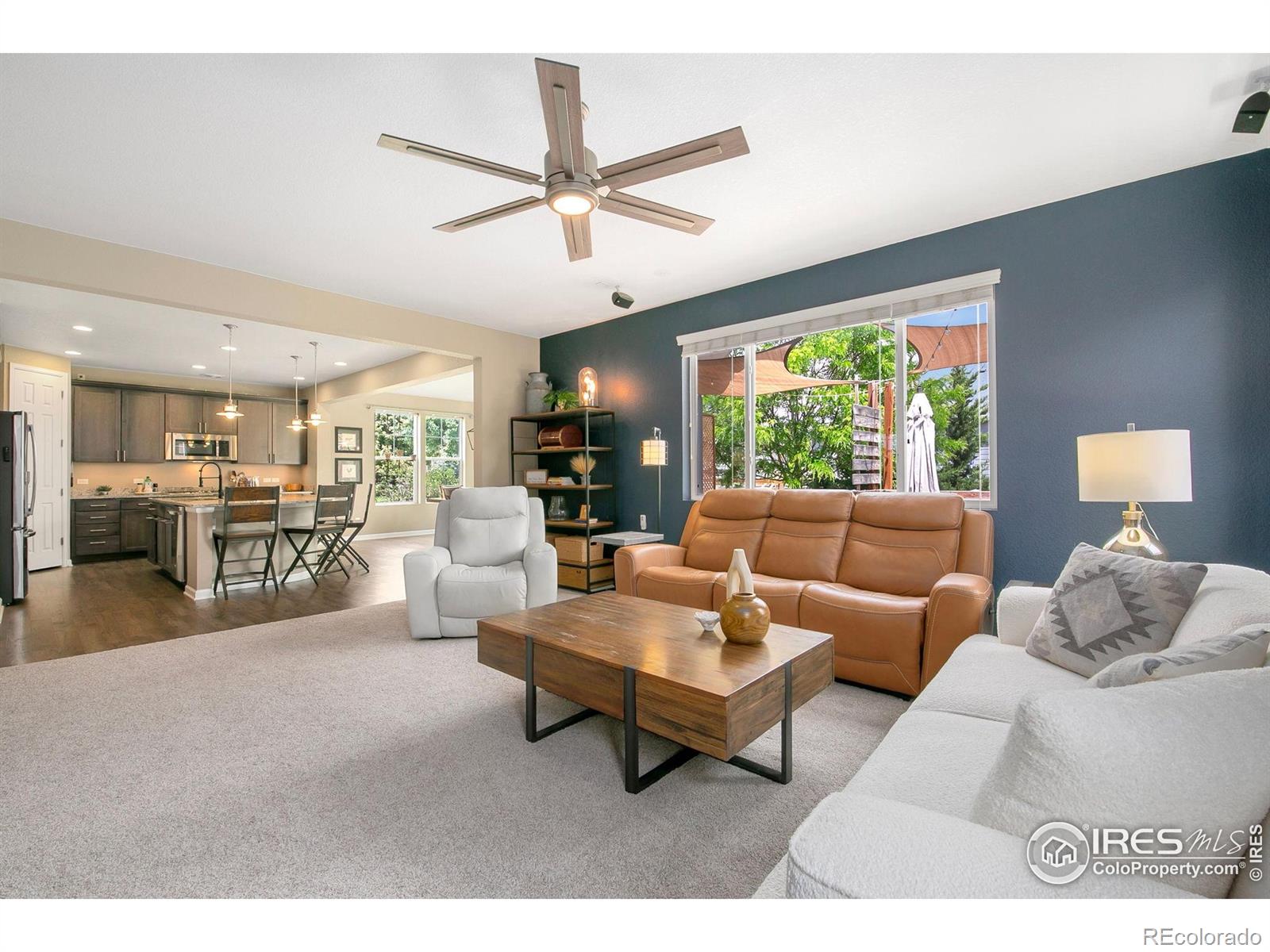 MLS Image #8 for 1568  grand avenue,windsor, Colorado