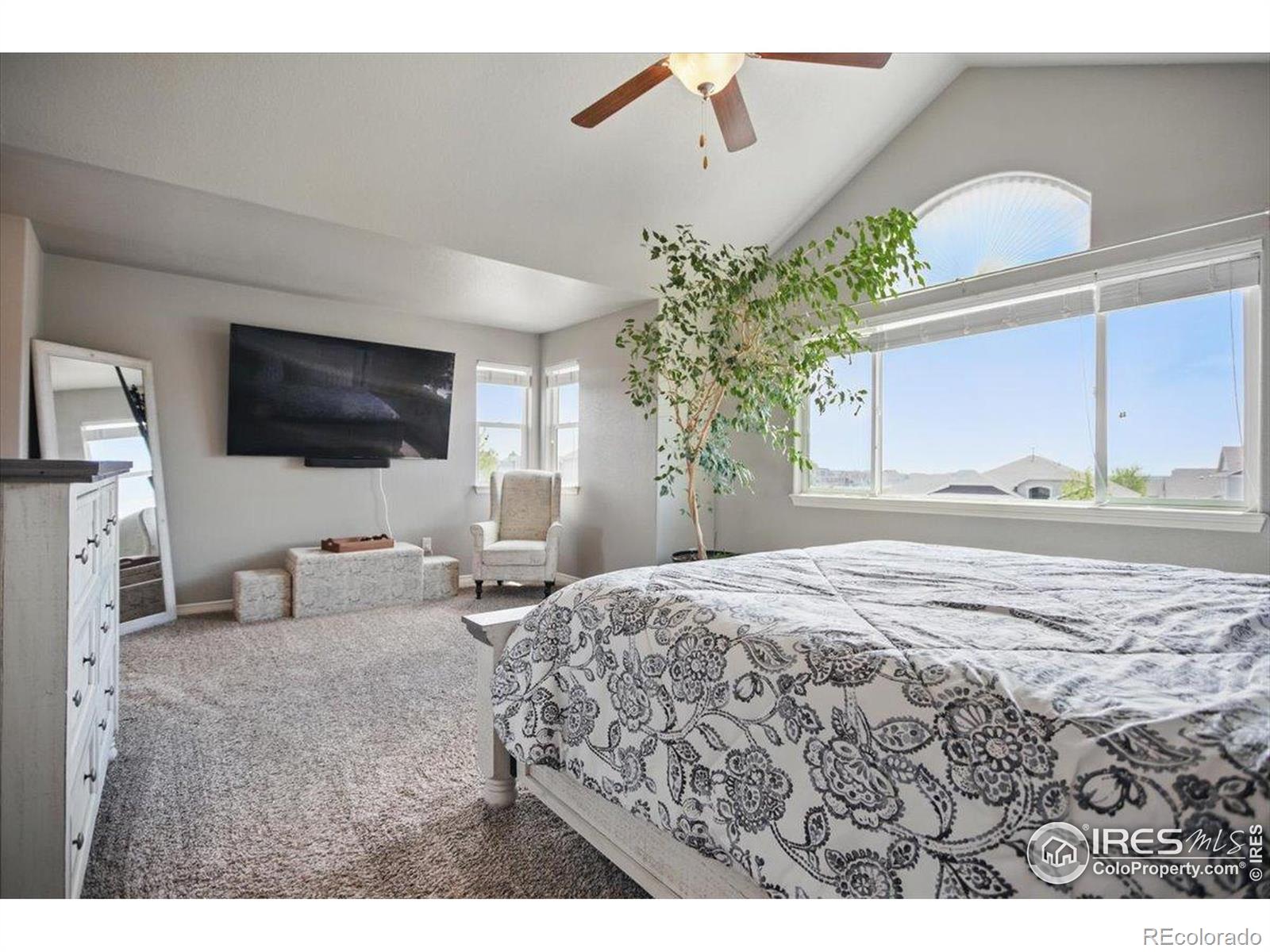 MLS Image #18 for 5816  osbourne court,windsor, Colorado