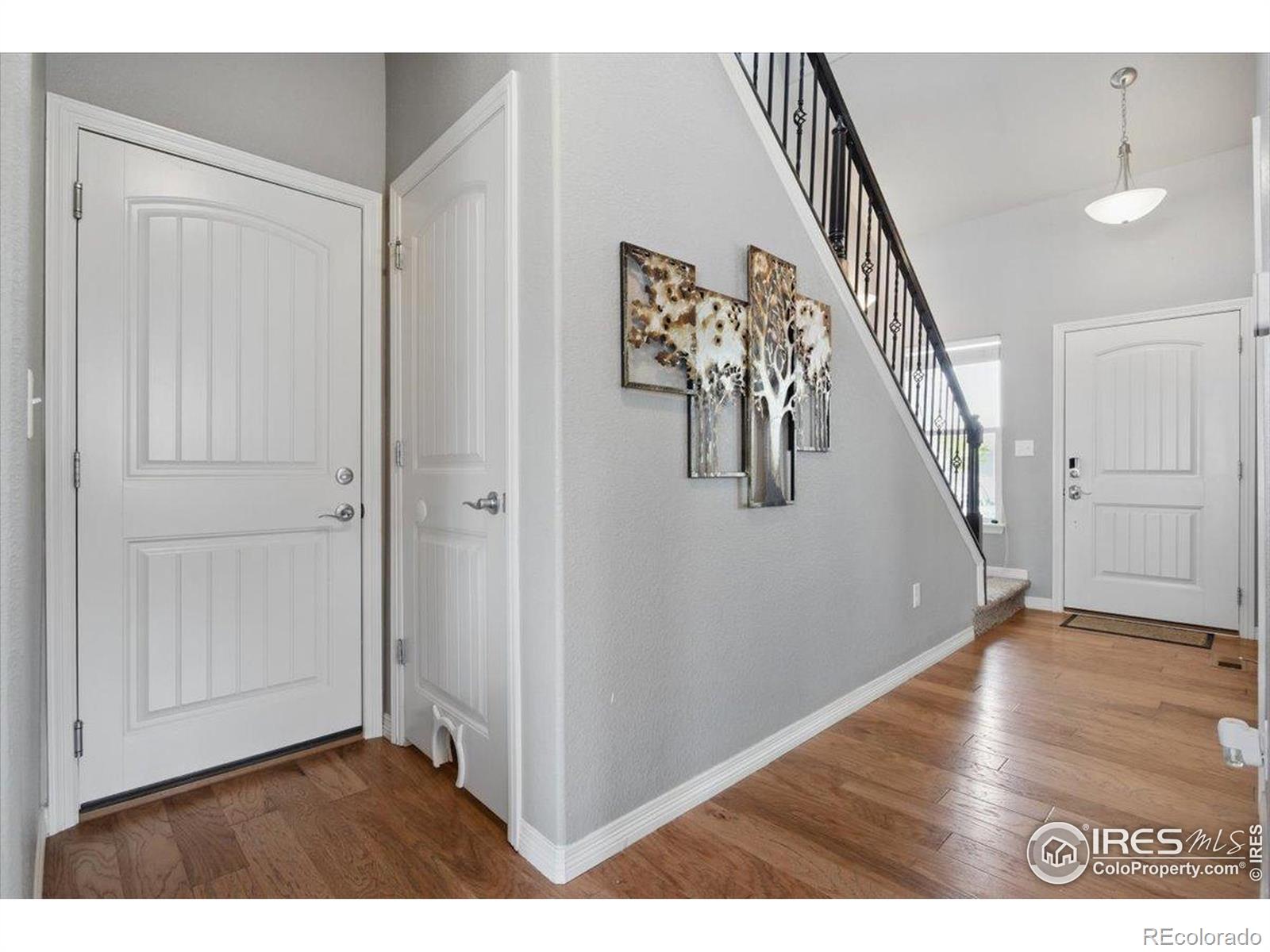 MLS Image #29 for 5816  osbourne court,windsor, Colorado