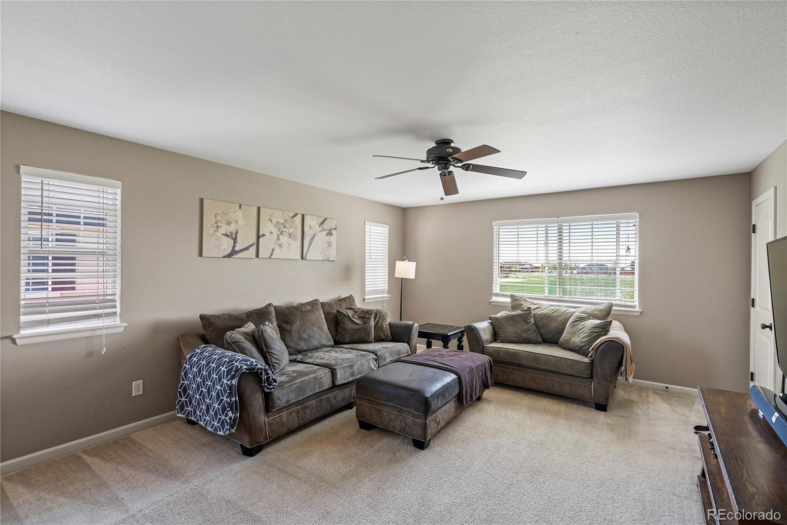 MLS Image #11 for 15352 e 117th avenue,commerce city, Colorado