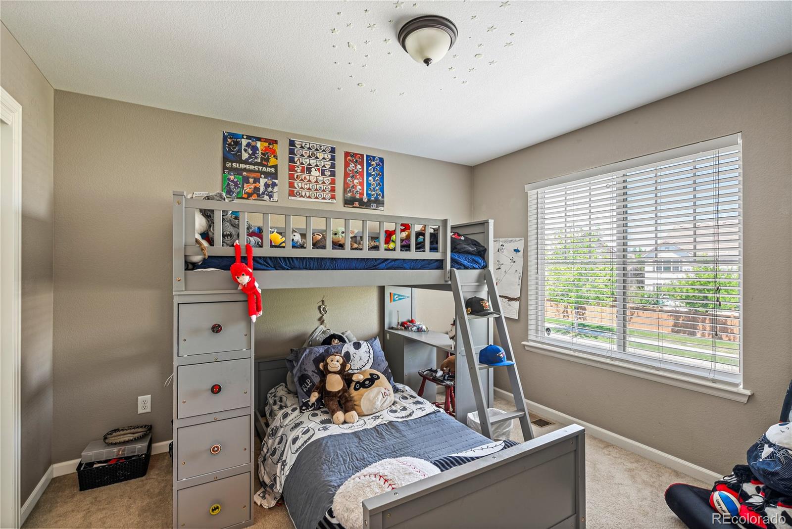 MLS Image #19 for 15352 e 117th avenue,commerce city, Colorado