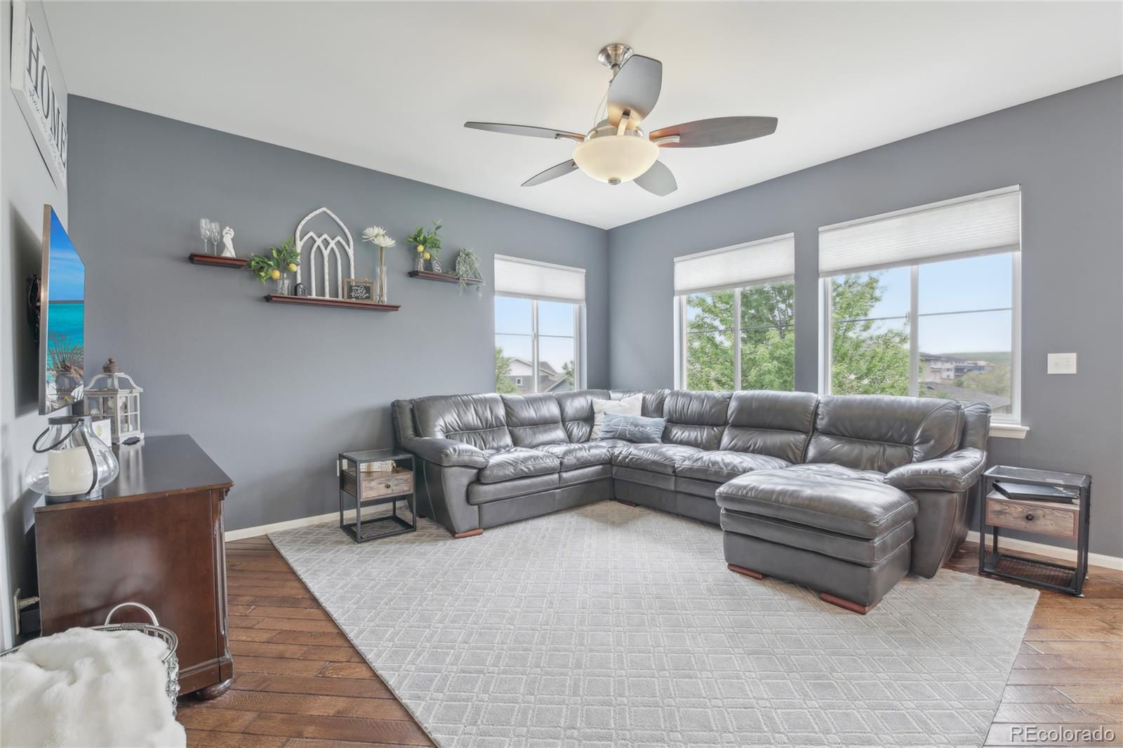 MLS Image #5 for 16226 w 94th drive,arvada, Colorado