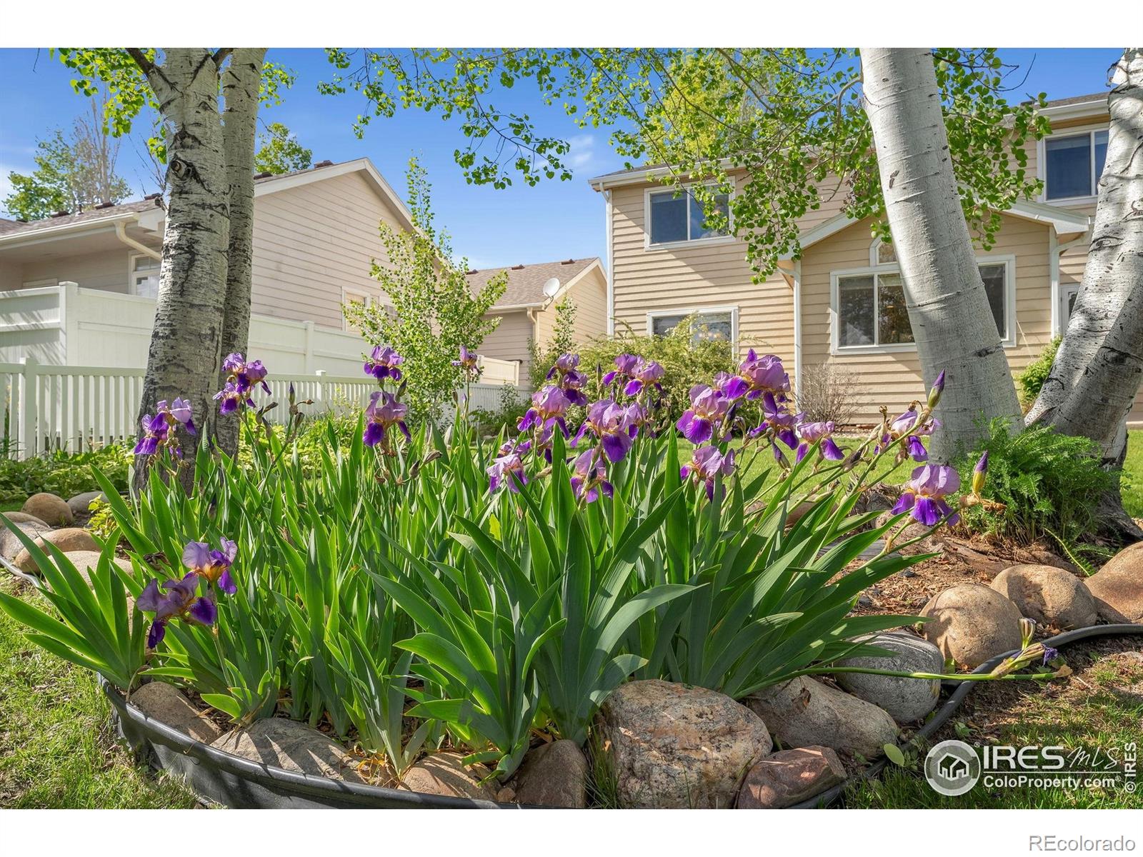 MLS Image #34 for 2235  woody creek circle,loveland, Colorado