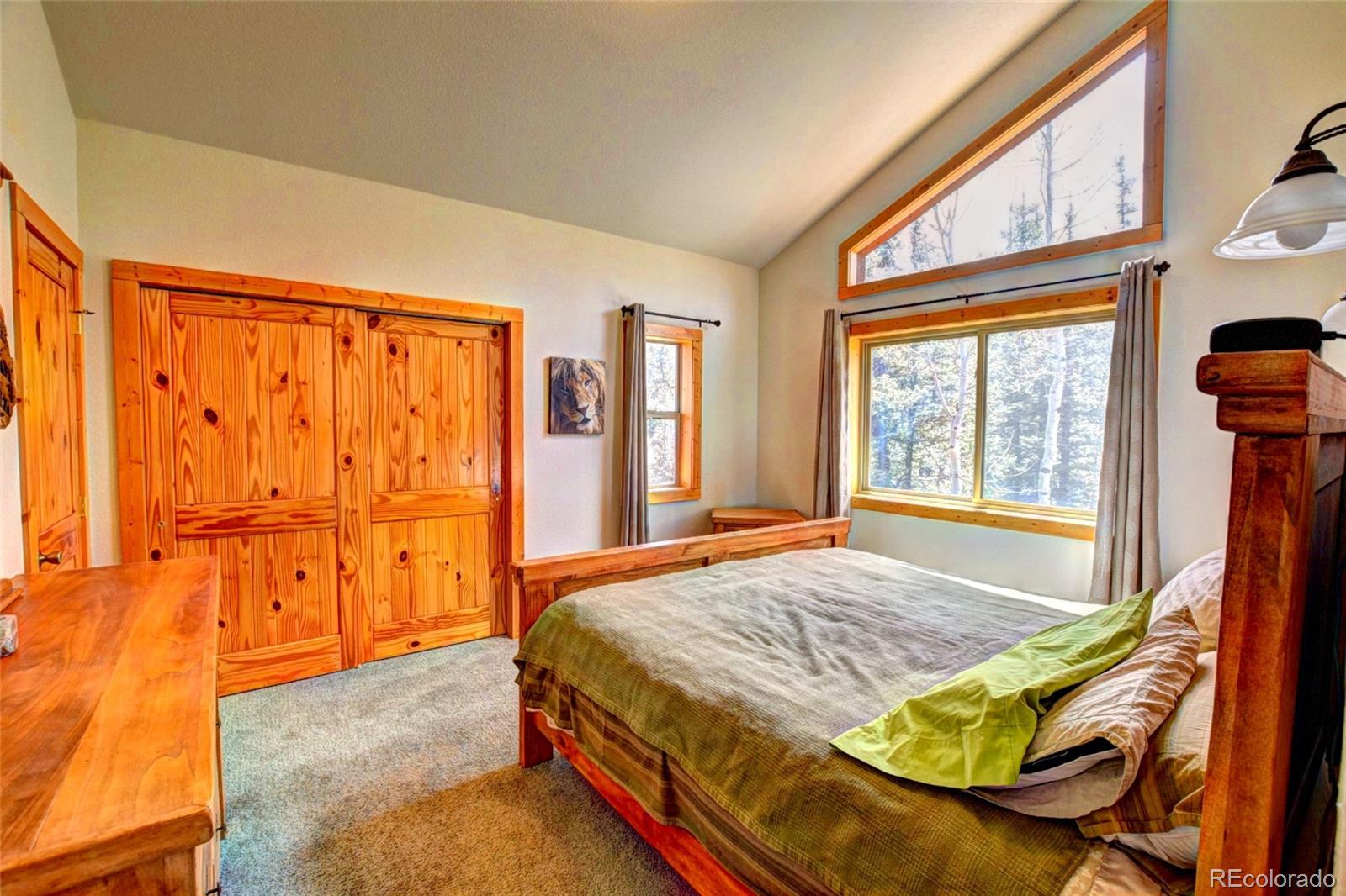 MLS Image #18 for 103  war pony way,como, Colorado