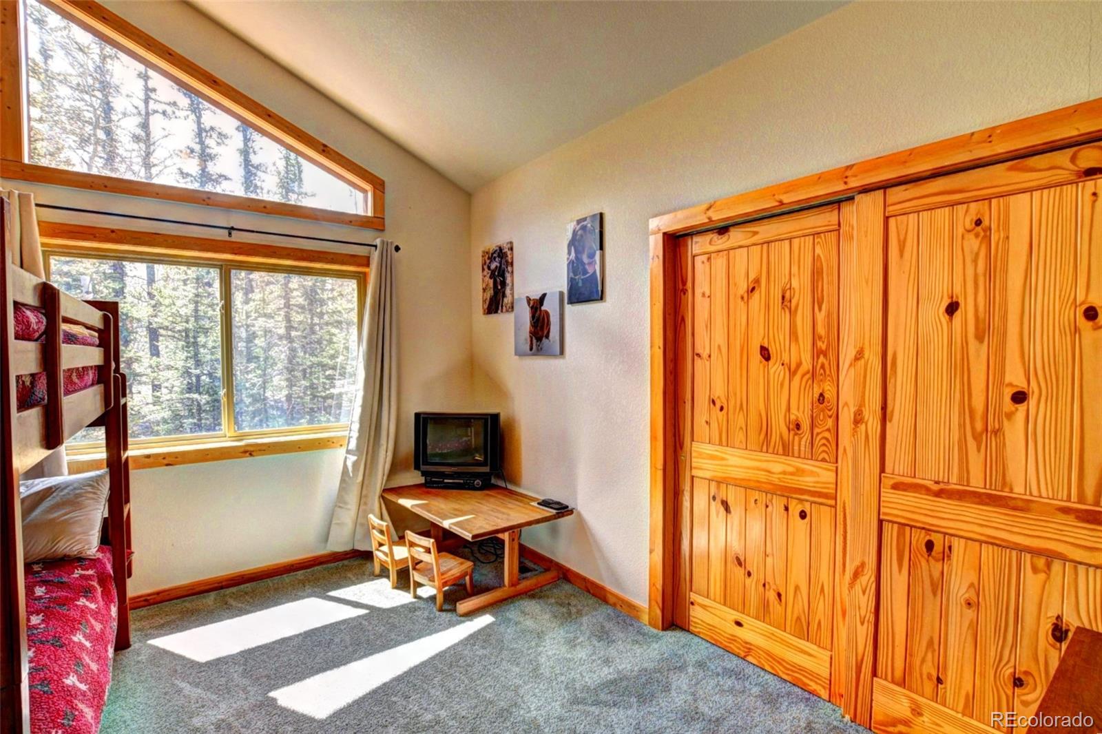 MLS Image #21 for 103  war pony way,como, Colorado