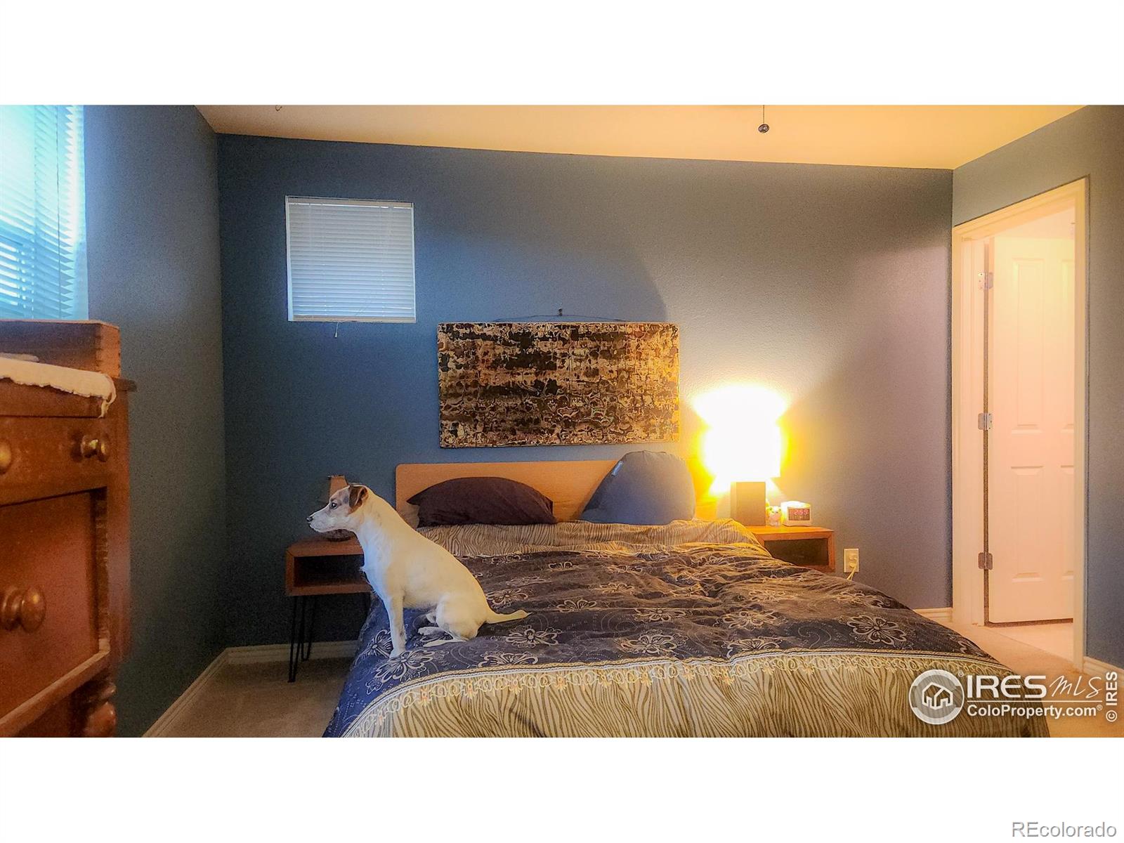 MLS Image #17 for 3295  big horn street,boulder, Colorado