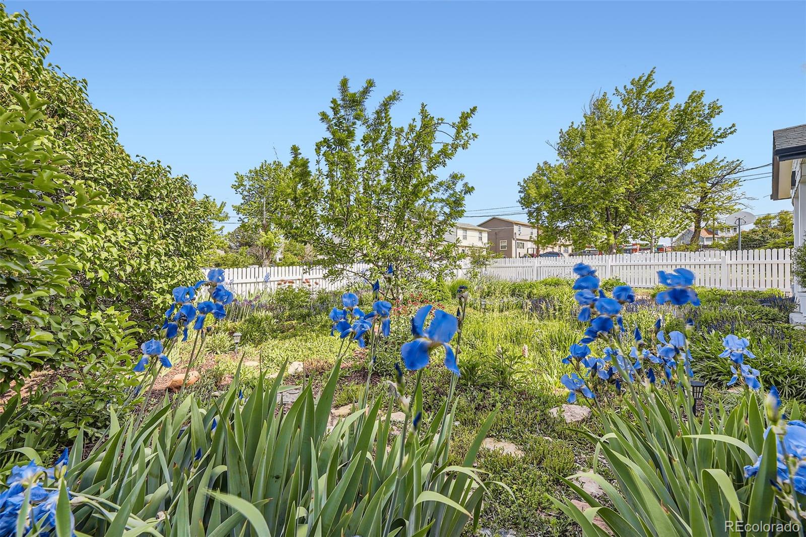 MLS Image #34 for 947 s yates street,denver, Colorado