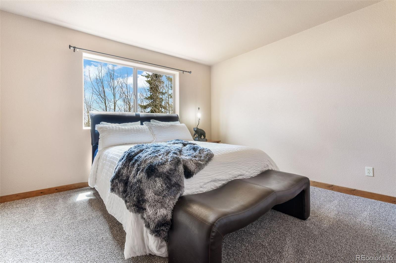 MLS Image #22 for 631  county road 61 ,cripple creek, Colorado