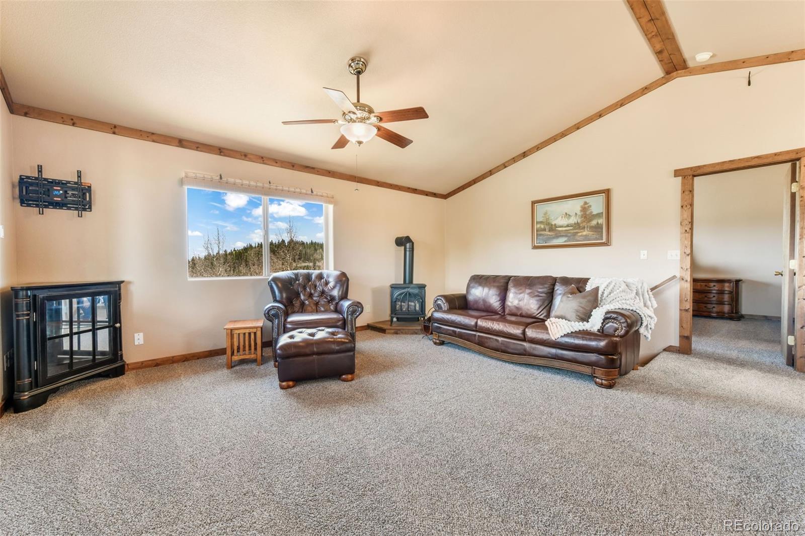 MLS Image #4 for 631  county road 61 ,cripple creek, Colorado