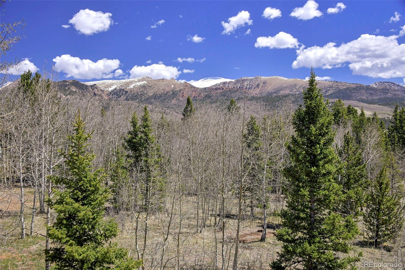 MLS Image #40 for 631  county road 61 ,cripple creek, Colorado