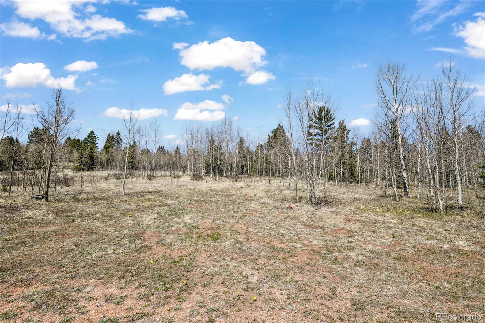 MLS Image #44 for 631  county road 61 ,cripple creek, Colorado