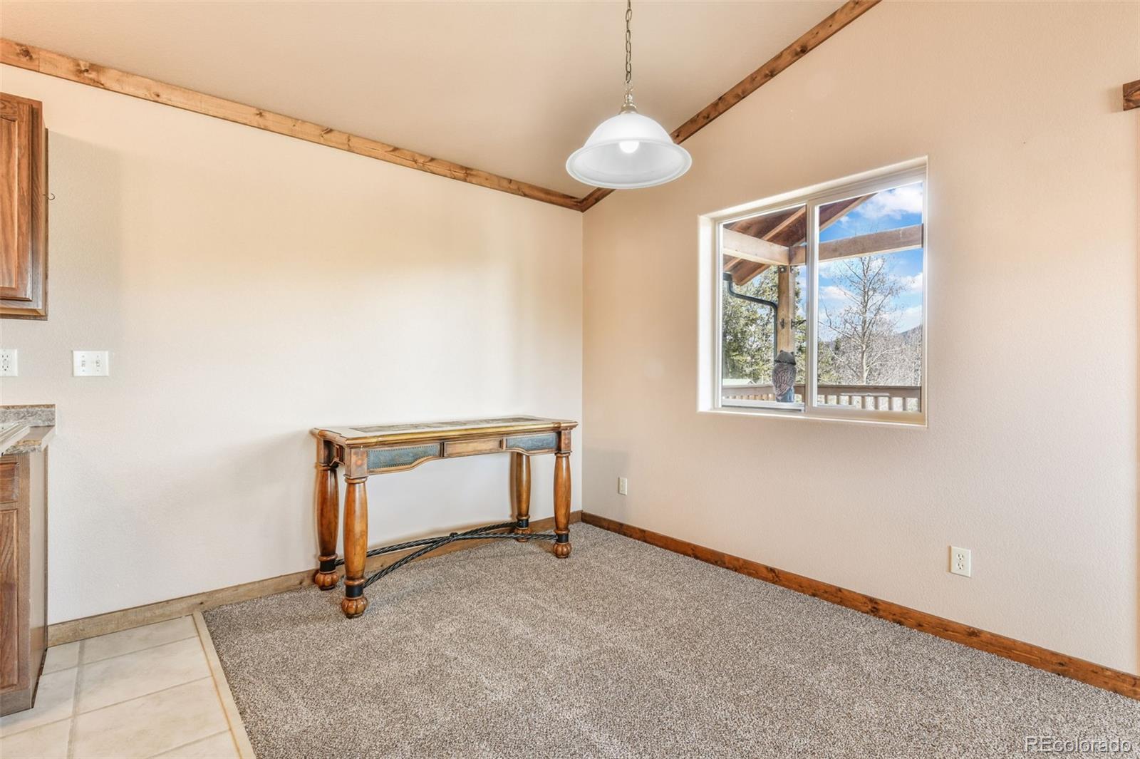 MLS Image #8 for 631  county road 61 ,cripple creek, Colorado