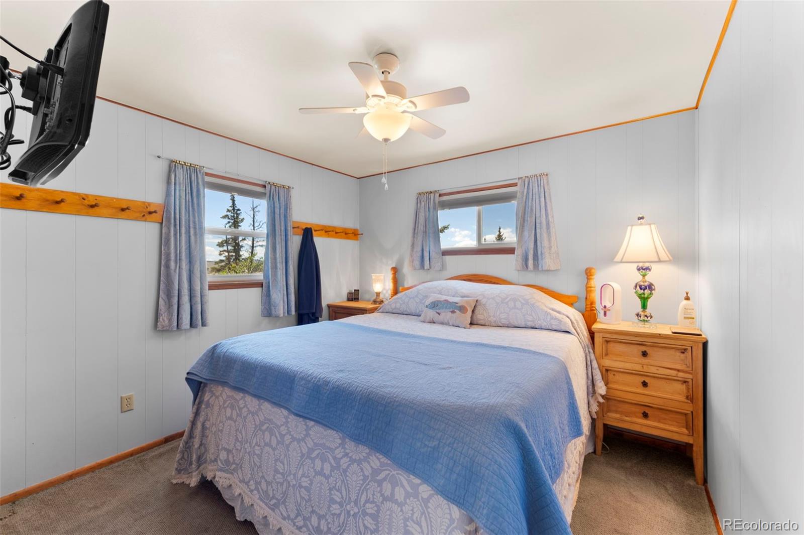 MLS Image #12 for 37  spawner drive,lake george, Colorado