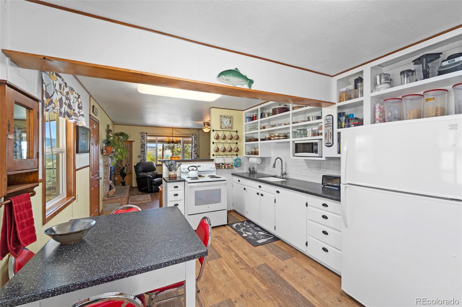 MLS Image #7 for 37  spawner drive,lake george, Colorado