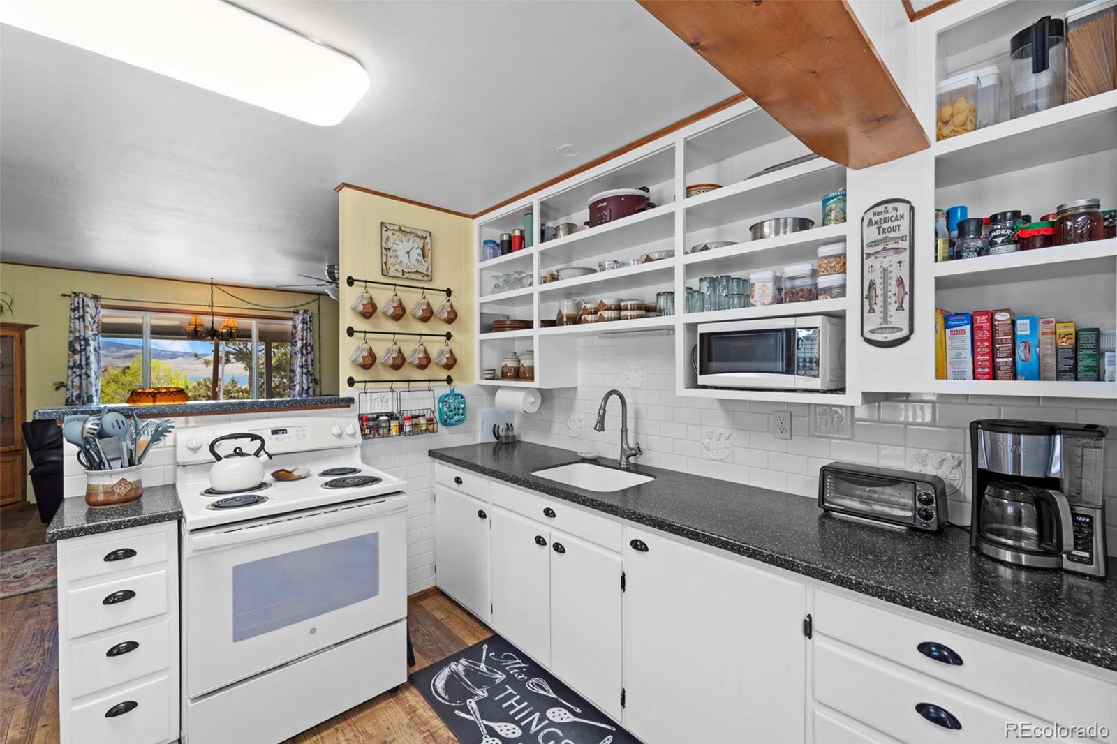 MLS Image #8 for 37  spawner drive,lake george, Colorado
