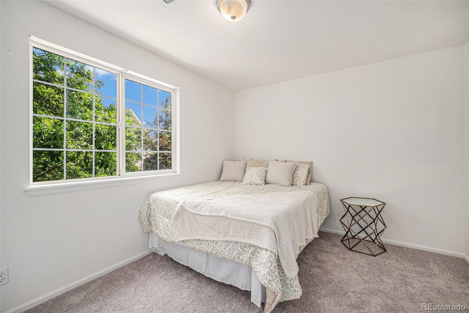 MLS Image #8 for 2141  coronado parkway c,denver, Colorado