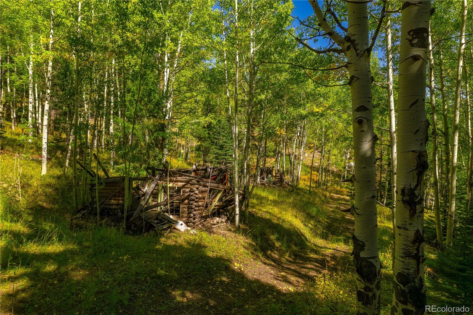 MLS Image #12 for 13007  kuehster road,littleton, Colorado