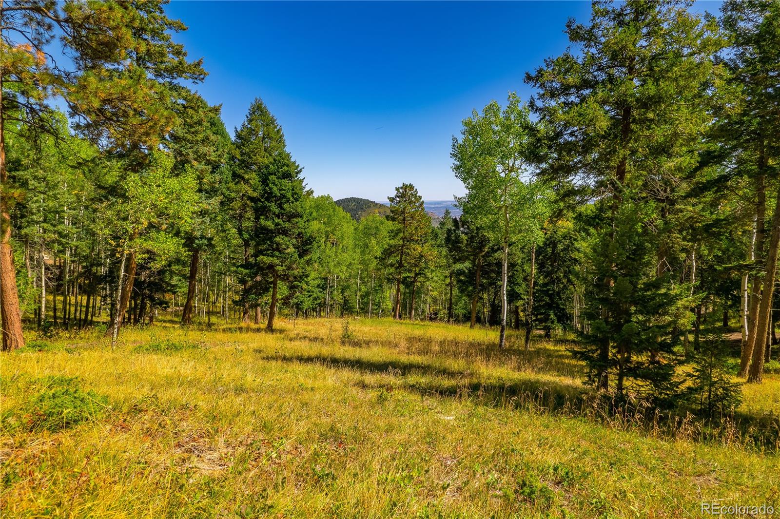 MLS Image #13 for 13007  kuehster road,littleton, Colorado