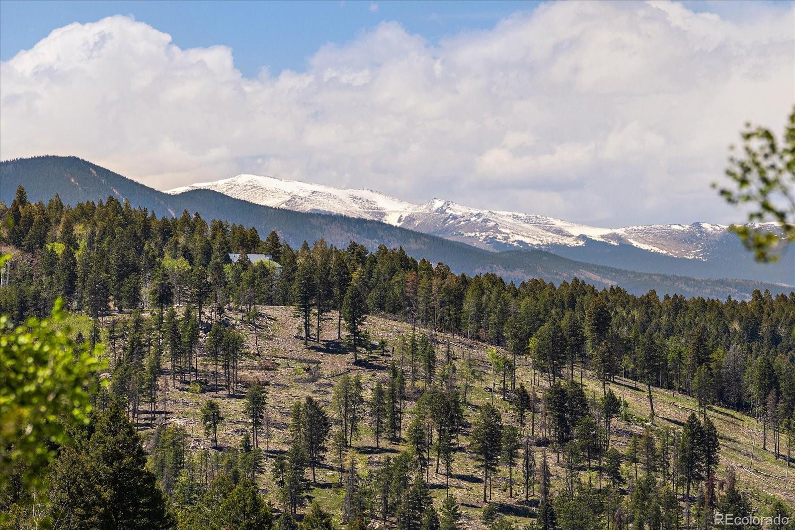 MLS Image #46 for 13007  kuehster road,littleton, Colorado