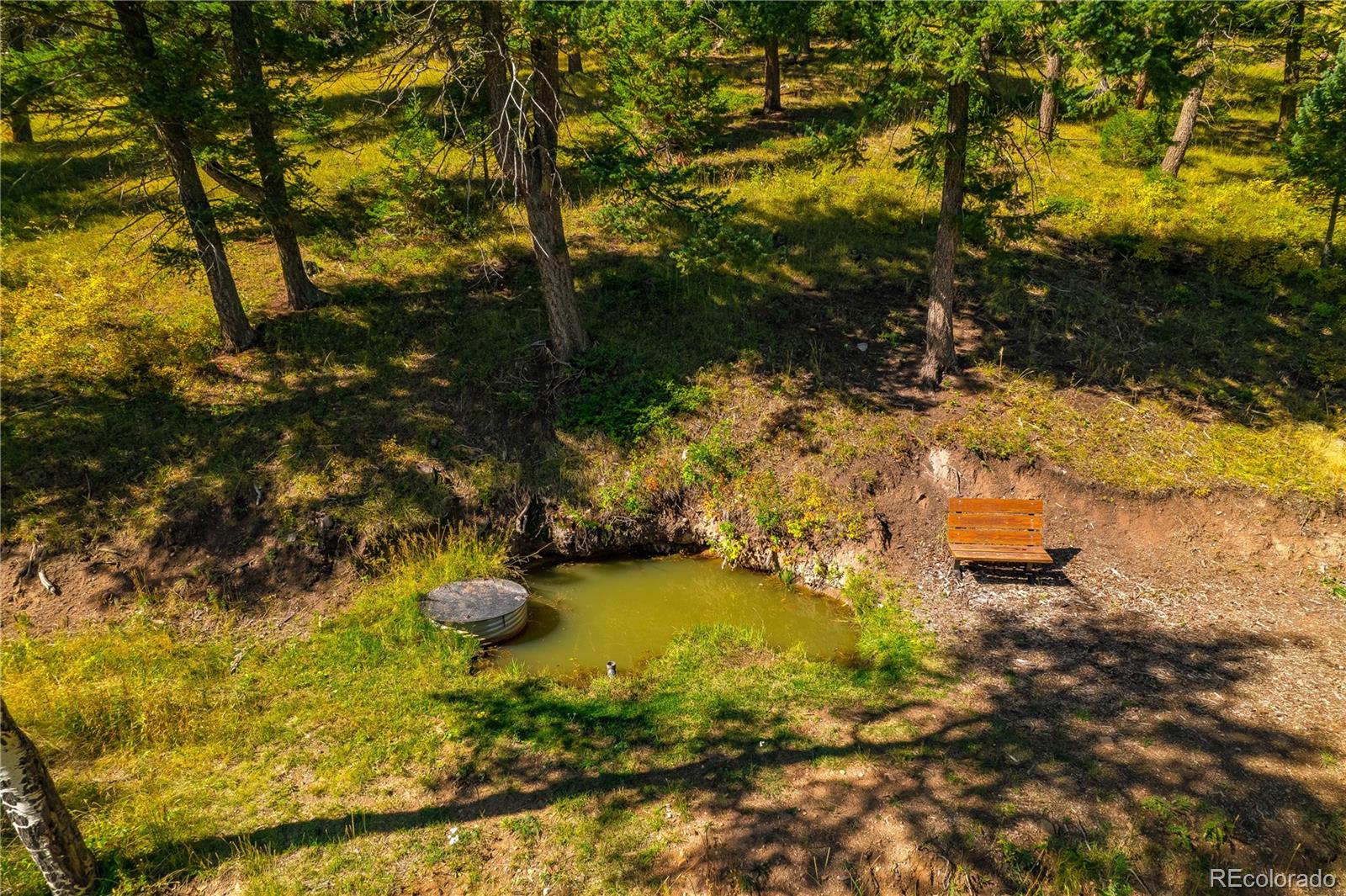 MLS Image #6 for 13007  kuehster road,littleton, Colorado