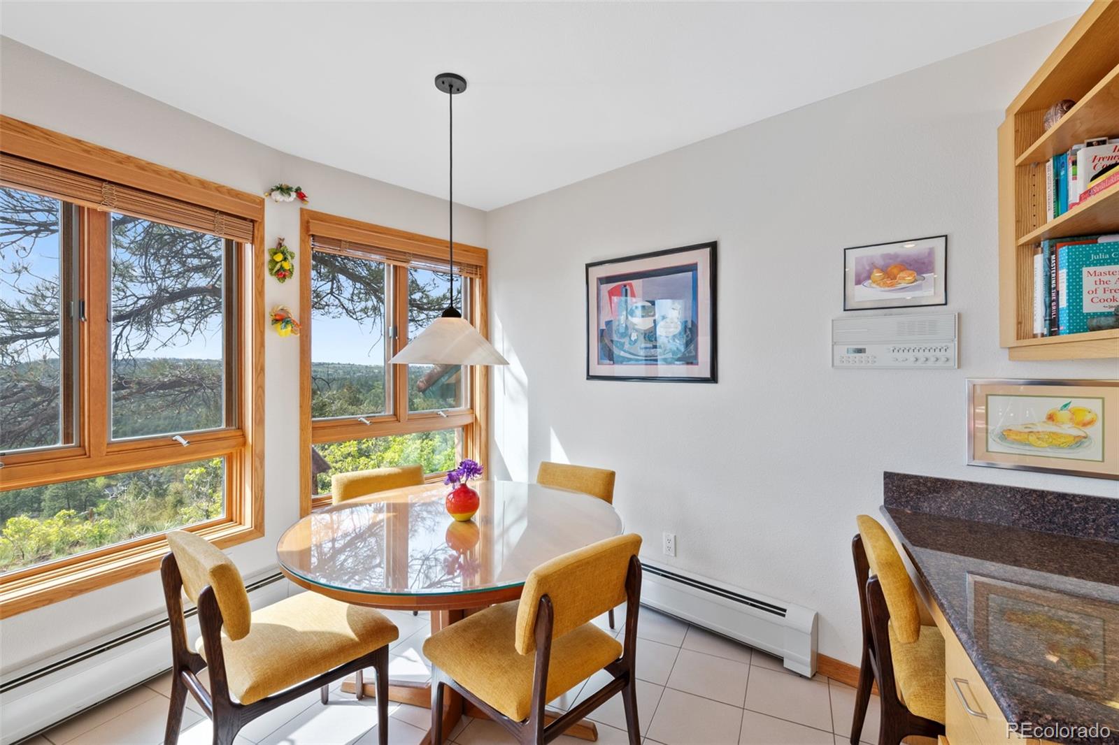 MLS Image #18 for 857  pawnee trail,castle rock, Colorado