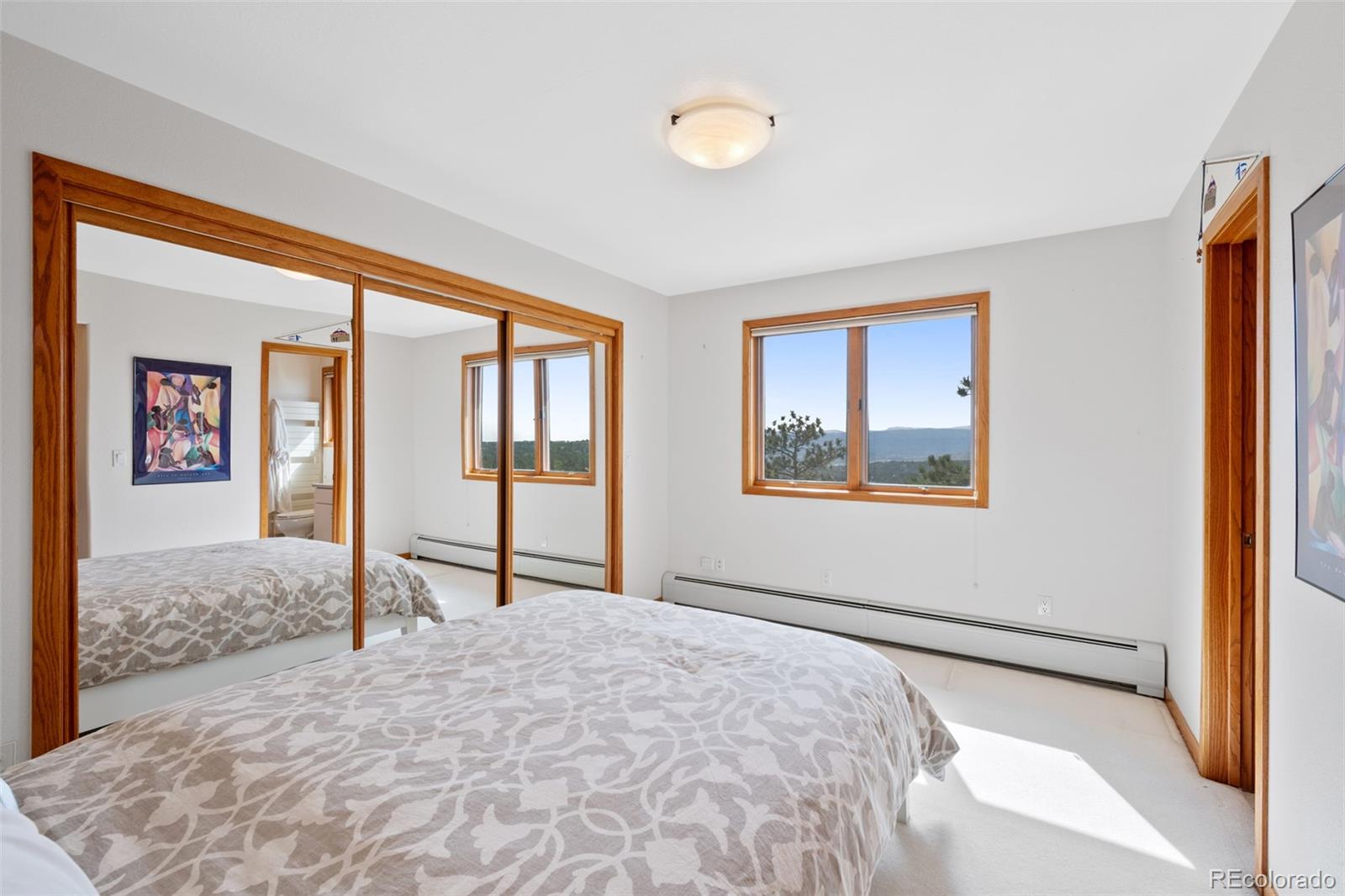 MLS Image #26 for 857  pawnee trail,castle rock, Colorado