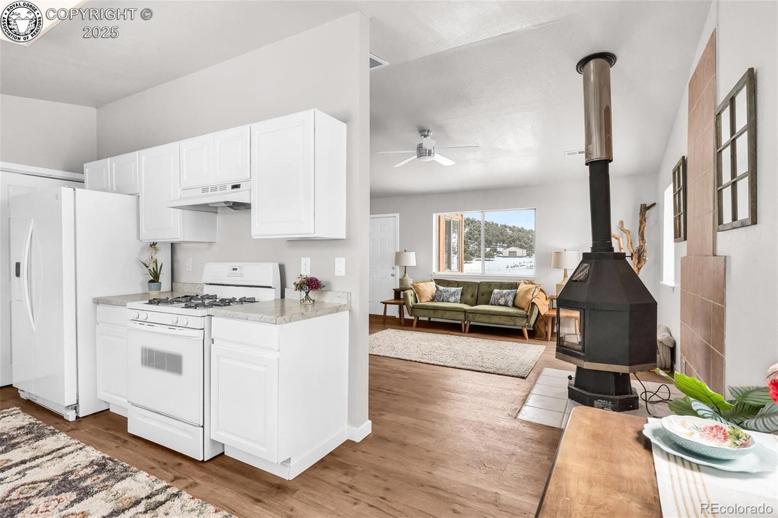 MLS Image #10 for 290  cavalier drive,cotopaxi, Colorado
