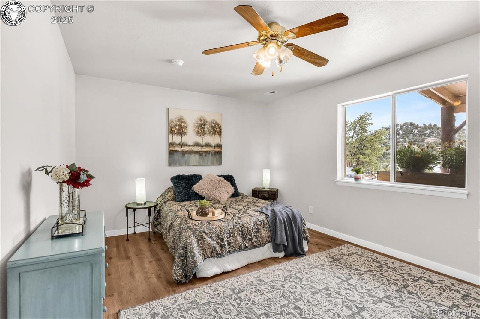 MLS Image #12 for 290  cavalier drive,cotopaxi, Colorado