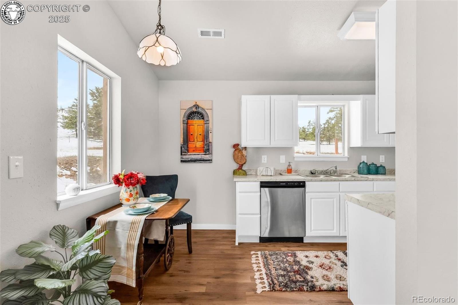 MLS Image #9 for 290  cavalier drive,cotopaxi, Colorado