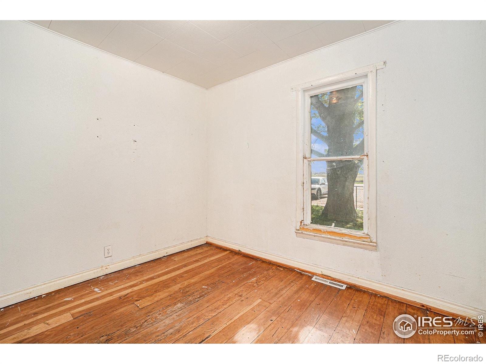MLS Image #10 for 516  elm avenue,eaton, Colorado