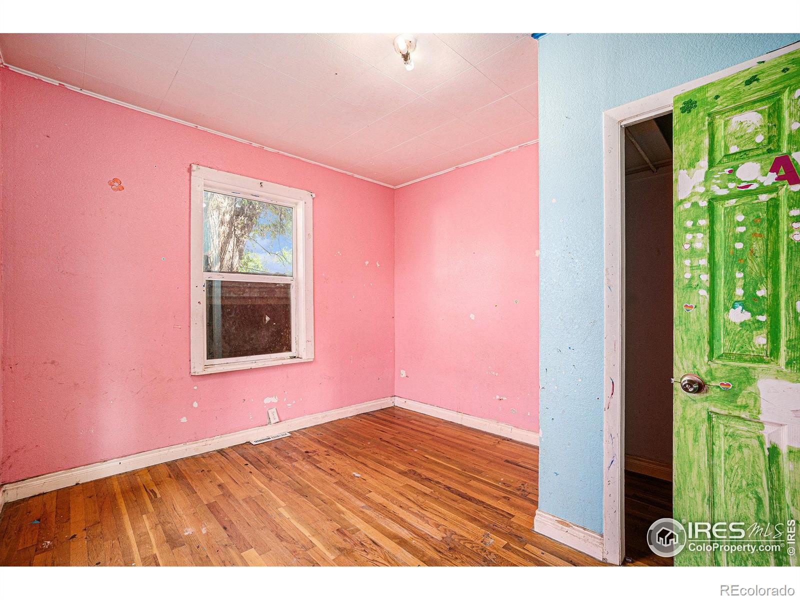 MLS Image #8 for 516  elm avenue,eaton, Colorado