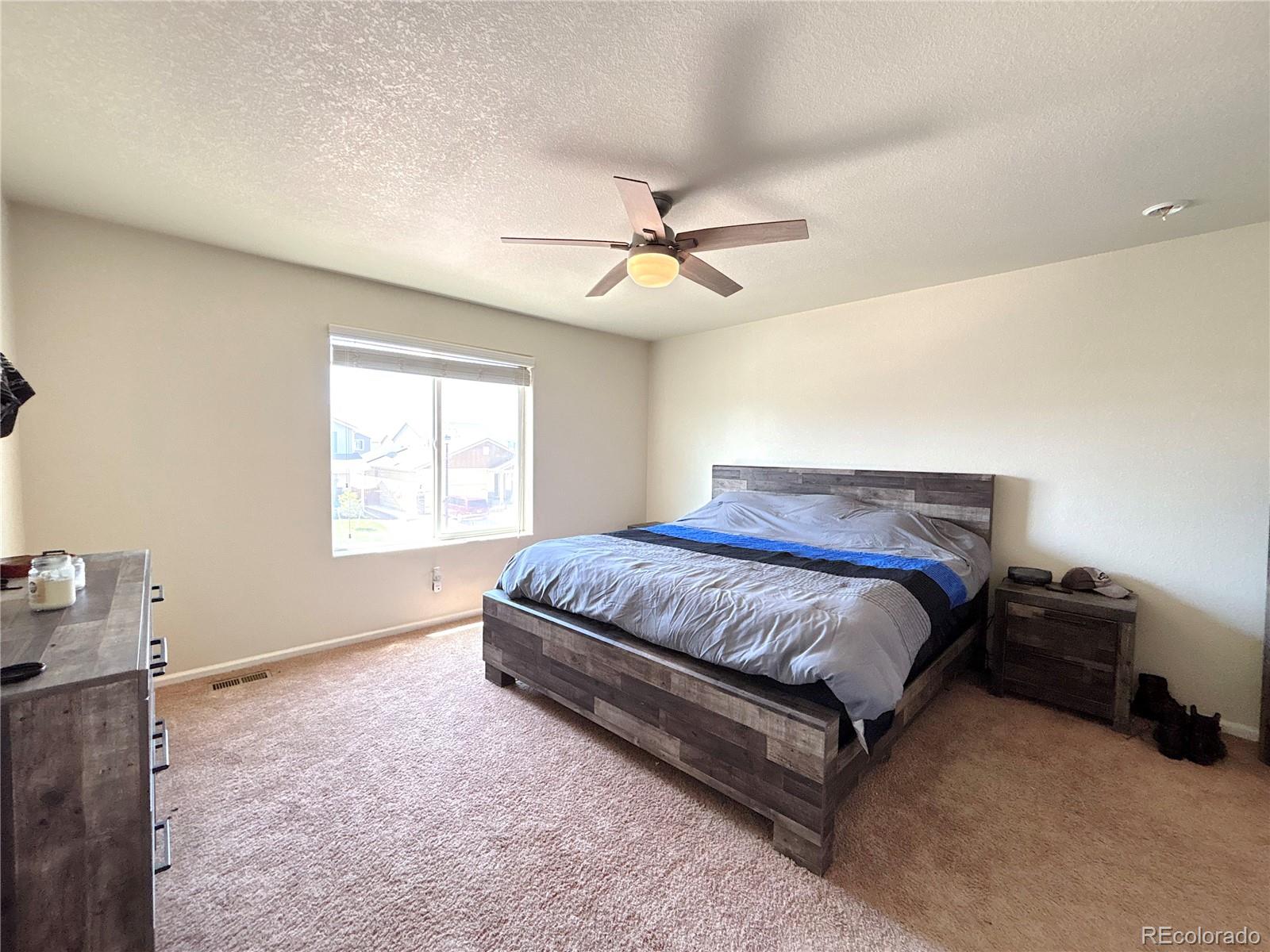 MLS Image #14 for 47373  lily avenue,bennett, Colorado